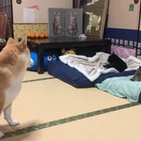 「そこは私の…」