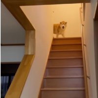 お姉ちゃんが帰宅すると…