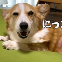 撫でられてニッコリ♡