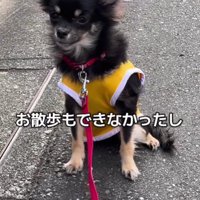お散歩に行くのも困難