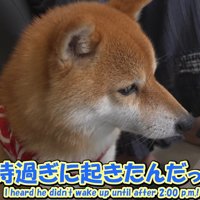 お兄ちゃんの寝坊を伝えたら…