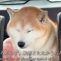 限界に達したような表情