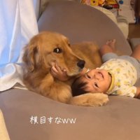 横目で見るこむぎくん