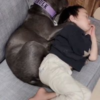 添い寝