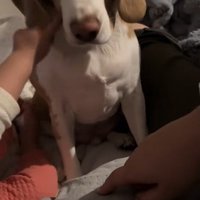 ほっぺたをツンツン♪