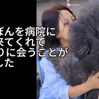 リボンちゃんを連れてお見舞いに