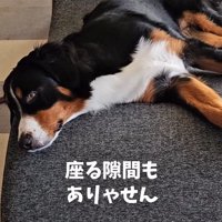 残念ながら、一緒に座るのも無理…