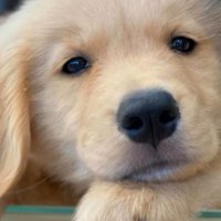 かーる君の成長記録3