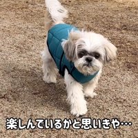 やっと動き始めたと思ったら…
