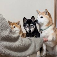 みんな横一列に並んで…