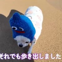 パパの元へ来るルミちゃん