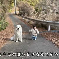 女の子が立ち止まると…？