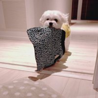 ちゃんちゃんこ