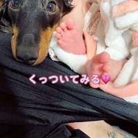 カメラ目線の犬