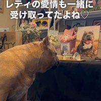 いつでも一緒だね