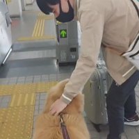 テンちゃんを撫でるお兄ちゃん