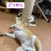 たきちちゃんにベッタリ♡