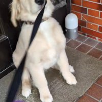 「抱っこして～」