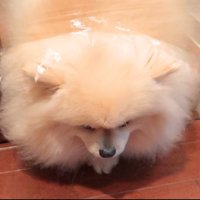 隙間にお顔を突っ込んで…