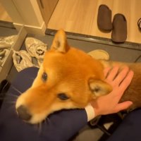 喜ぶイブキくん