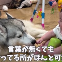 本当の兄弟のよう