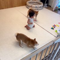 赤ちゃんが間に…！