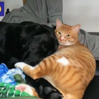 やっぱりすぐに仲直り♡