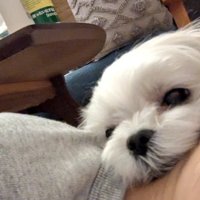 ズシッ