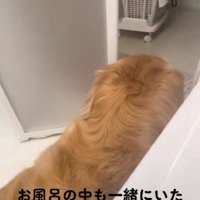 愛されているママが羨ましい♡