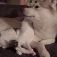 トラブル勃発！！