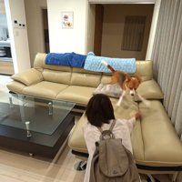 ペコちゃんは歓喜の舞を披露♪