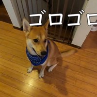 雷が鳴っています