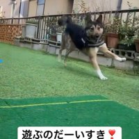 遊ぶ楽しさを知りました♪