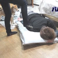 ハルヱちゃんも心配してくれます