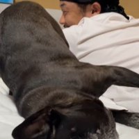 バタンと倒れて放心