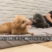 パパさんと一緒にリラックス♪