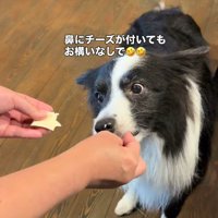 追いチーズを繰り返す
