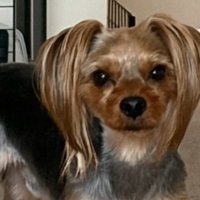 現在のお顔