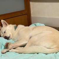 よく見てみると…