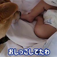 異変に気付いたわらびちゃん