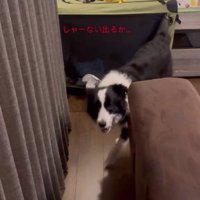 赤ちゃんに盗られちゃった！！