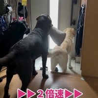 ソワソワ…