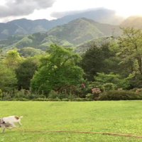 投稿主さんがお世話することに