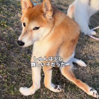 自力で歩くことは困難