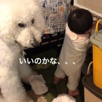 「こんなことして大丈夫…？」