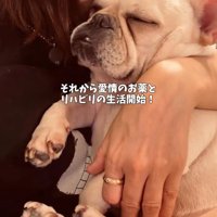 女性に抱っこされるフレンチブルドッグ