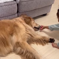 仲良しな3兄妹♡