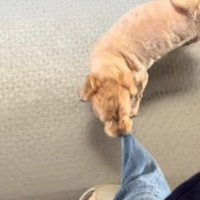 次の日には平常運転に♪