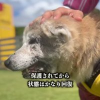 こんなにフワフワに！