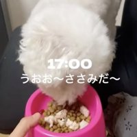 食欲満点！